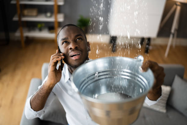Best Professional water damage repair  in Comfort, TX