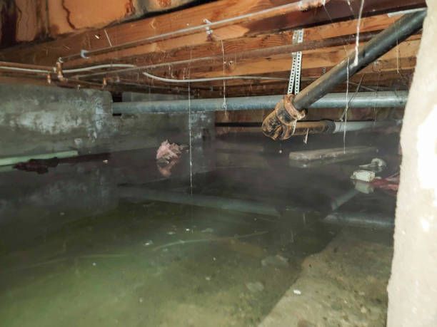 Best Flood restoration services  in Comfort, TX