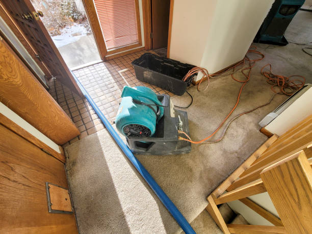 Best 24-hour water damage restoration  in Comfort, TX