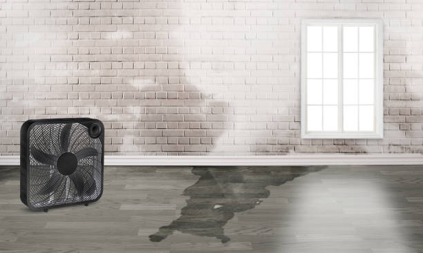 Best Residential water damage restoration  in Comfort, TX