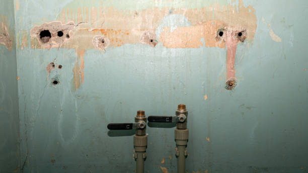 Best Water damage cleanup near me  in Comfort, TX