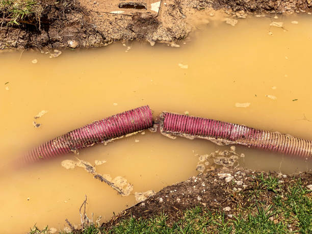 Best 24/7 water damage repair  in Comfort, TX
